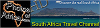 Travel Agents