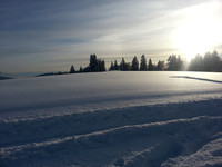 2013-02-11 05:08