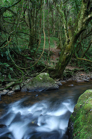 Photos of Africa Panorama Mpumalanga Waterfalls stock images 035176