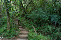 Photos of Africa Panorama Mpumalanga stock images 034015