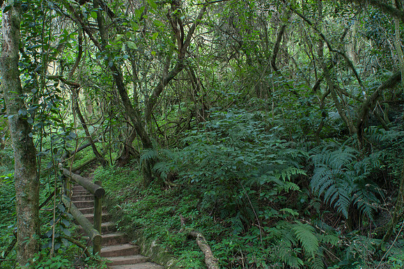 Photos of Africa Panorama Mpumalanga stock images 034016