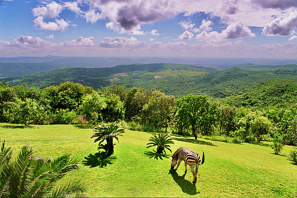 Photos of Africa South Africa stock images 031000