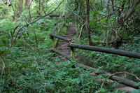 Photos of Africa Panorama Mpumalanga stock images 034011