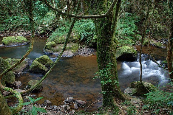 Photos of Africa Panorama Mpumalanga Waterfalls stock images 035111