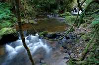 Photos of Africa Panorama Mpumalanga stock images 034051