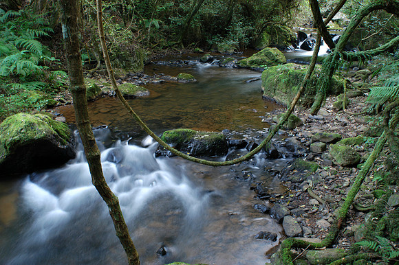 Photos of Africa Panorama Mpumalanga stock images 034051