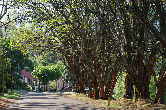 Photos of Africa Panorama Mpumalanga stock images 034362
