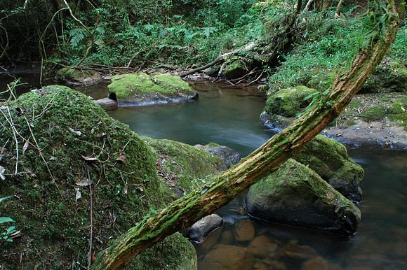 Photos of Africa Panorama Mpumalanga Waterfalls stock images 035177