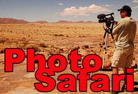 photo safari 01