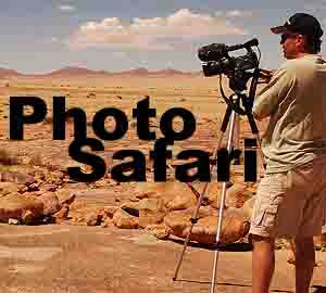 photo safari