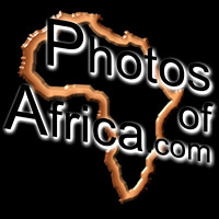 Big logo blackcopy 02