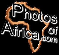 Big logo blackcopy 01