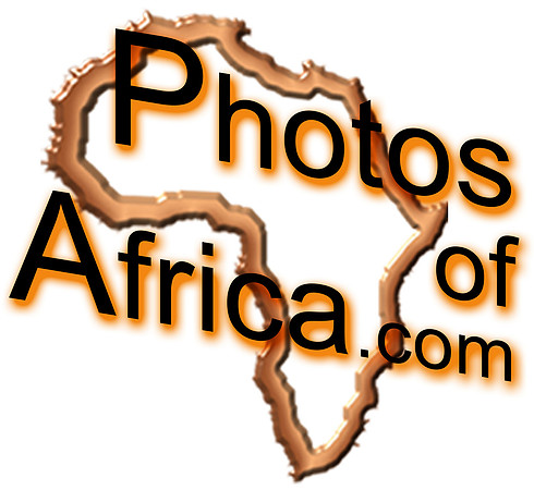 Big logo white copy