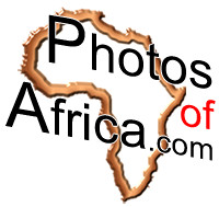 video logo