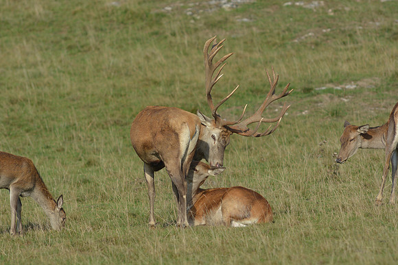 DSC_2906